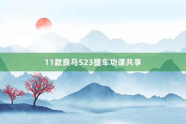 11款良马523提车功课共享
